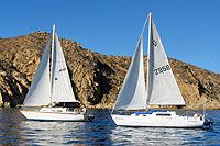 Cabo Sailing