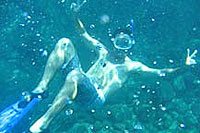 Cabo San Lucas Snorkeling