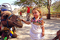 Cabo Camel Riding Tour