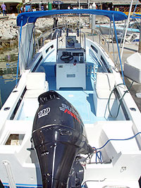 Saltwater Fly Fishing in Cabo San Lucas