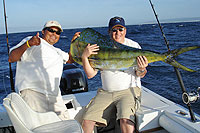 Cabo San Lucas Fly Fishing