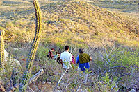 Hiking Burro Tour Cabo