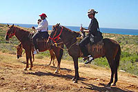 Cabo Horseback Riding Tour