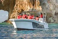 Ultimate Whale Watching