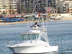 
35' LUHRS