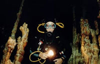 Cabo San Lucas Night Diving