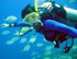 Cabo Scuba Diving Tours