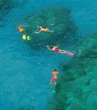 Snorkeling at Chileno Bay