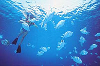 Cabo San Lucas Wave Runner Tour