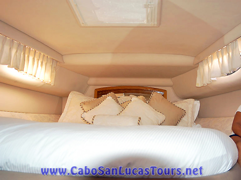 Spacious Luxury Cabo Charter