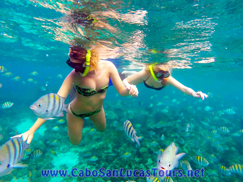 Private Sailing Trimaran Cabo San Lucas