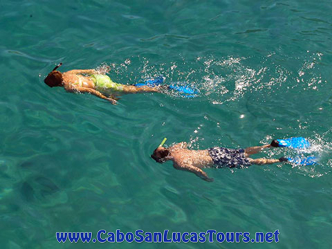 Private Snorkeling Charter